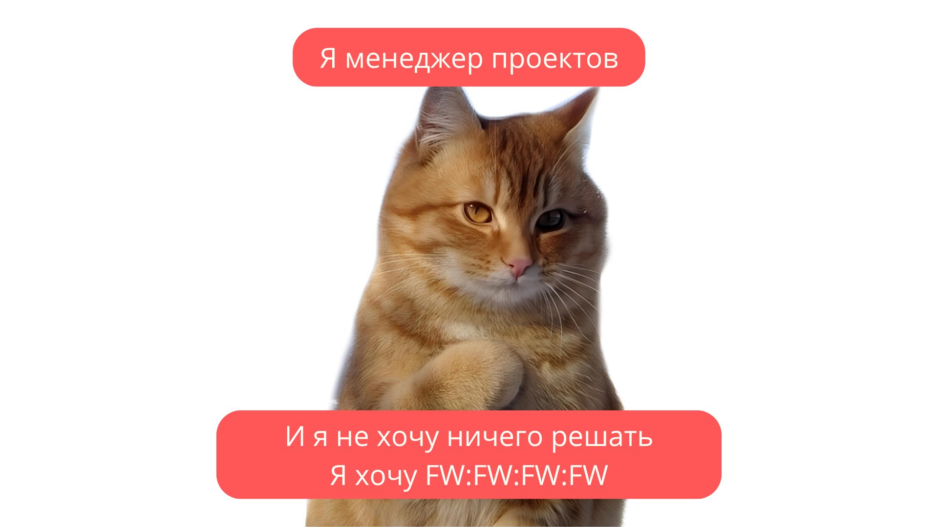 Мем менеджер проектов и стейкхолдеры