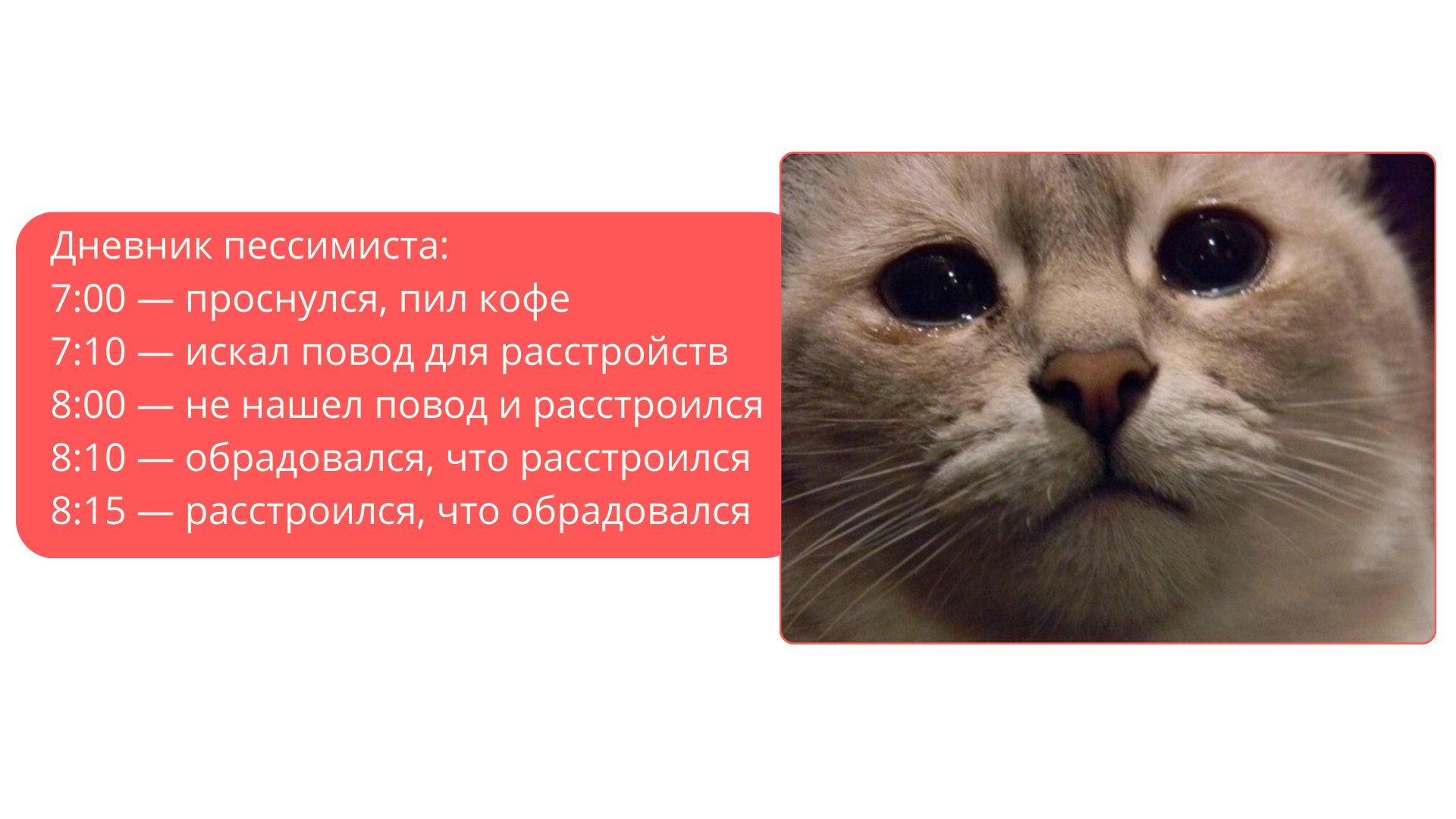 Мем сотрудник критик