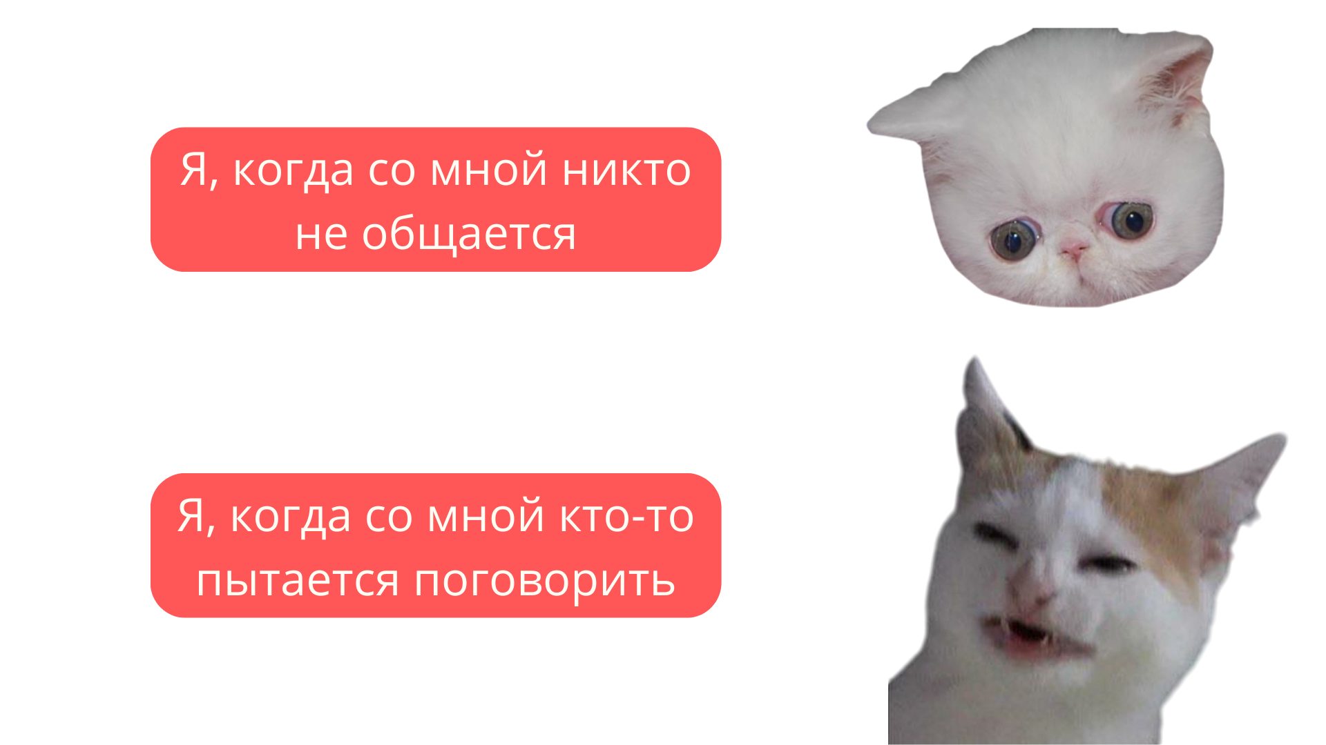 Мем про общение в команде